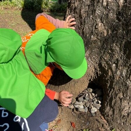 Some of the K1 class's friends found a tiny hole at the root of a tree. When teacher asked them what they thought that was, they assumed that some birds live there! They also thought it might get cold at night and so, they hurriedly collected stones to build a stone door to keep the birds warm.

ある日、公園で木の根元に穴を見つけた子どもたち。「これ、何だろう？」と問いかけてみると、「きっと鳥さんのお家だよ」と。きっと夜は冷えるからと、せっせと石の扉を作ってあげました。
鳥さん、気に入ってくれるといいね。

#yokohamajapan #englishpreschool #openendedplay #imaginaryplay #senseofwonder #reggioinspired #toplayistolearn #横浜 #英語保育 #想像あそび #オープンエンディット #レッジョインスパイアド