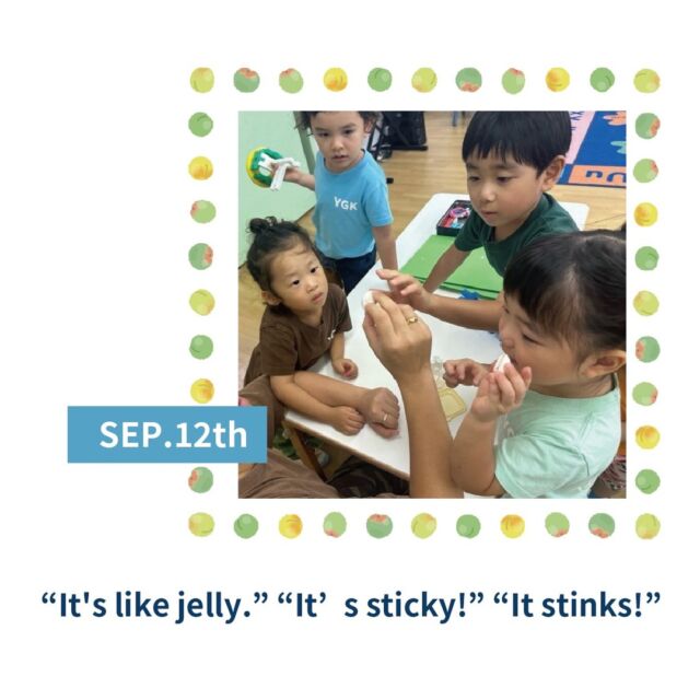 TODAY YGK ★
“It's like jelly.” “It’s sticky!” “It stinks!”
#ymca #englishpreschool #englishkindergarten #internationalschool #englishimmersion #childasaprotagonist #toplayistolearn #lightandshadow #exploration #discovery #awareness #yokohama #outdoorplay #英語保育 #英語イマージョン #子どもが主役 #あそびはまなび #光と影 #気付き #発見 #外遊び #横浜