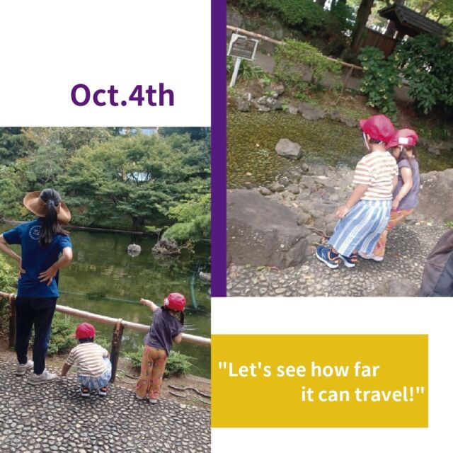 <TODAY YGK>
It was their favorite park, their favorite pond. The wind felt good.

みんな大好きな公園遊び
(^0_0^)

#ymca #englishpreschool #englishkindergarten #internationalschool #englishimmersion #childasaprotagonist #toplayistolearn #lightandshadow #exploration #discovery #awareness #yokohama #outdoorplay #英語保育 #英語イマージョン #子どもが主役 #あそびはまなび #光と影 #気付き #発見 #外遊び #横浜